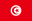 tunisia-flag-icon-32.png